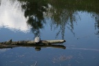 Lakes